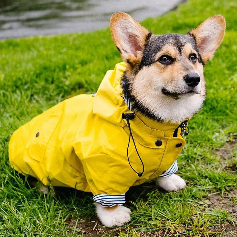 Imperméable pour chien — Bouledogue, Carlin, Corgi, Petite race