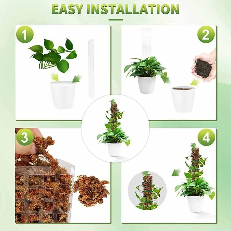 Tuteur Mousse Plante Grimpante Indoor