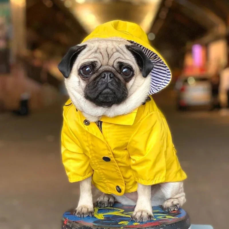 Imperméable pour chien — Bouledogue, Carlin, Corgi, Petite race