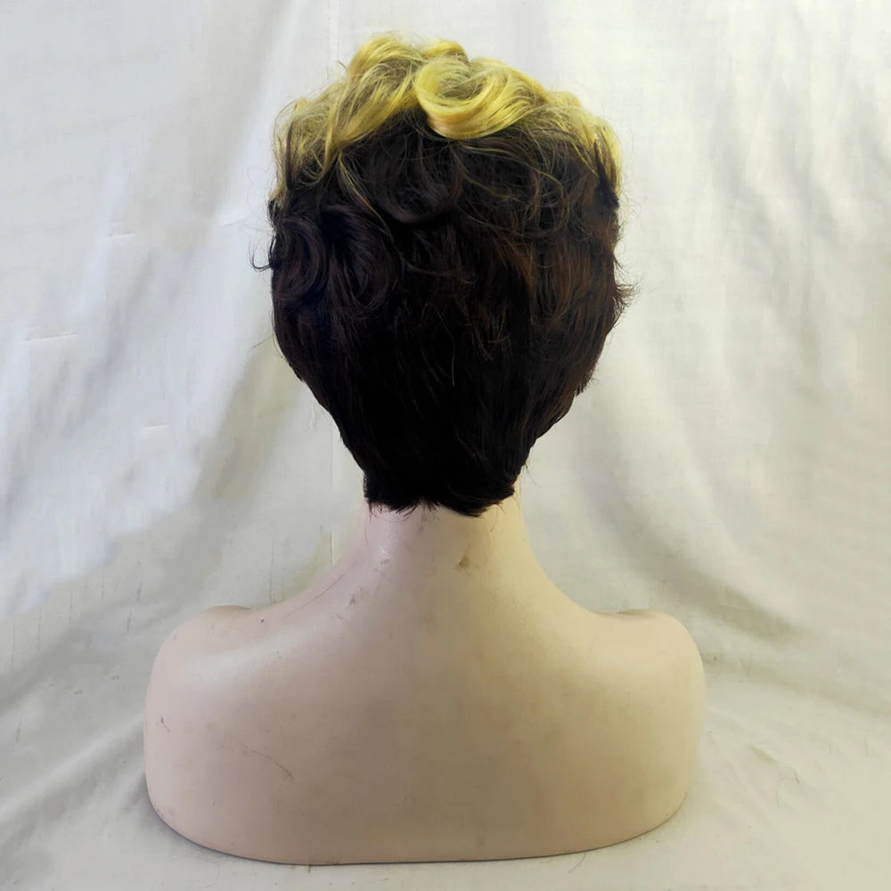 HAIRJOY Synthetic Hair Blonde Wigs for Women Short Curly  Wigs for Black Women Hair Wigs for African American