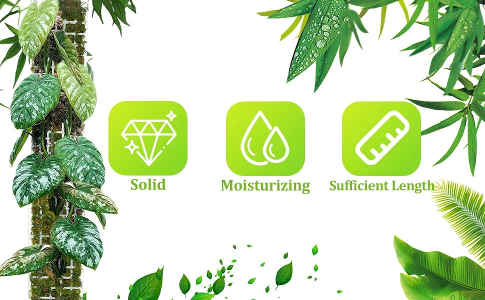 Tuteur Mousse Plante Grimpante Indoor