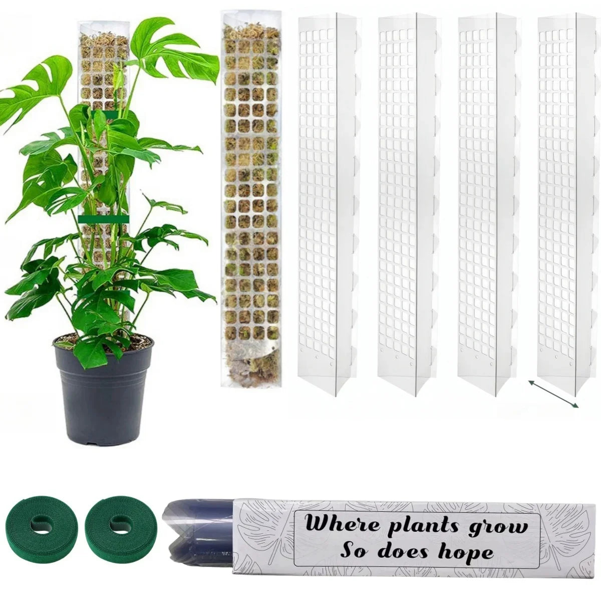 Tuteur Mousse Plante Grimpante Indoor