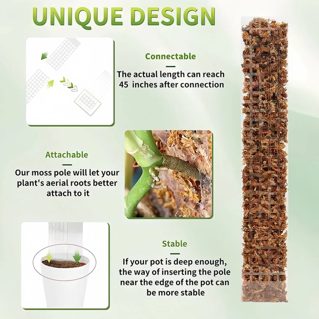 Tuteur Mousse Plante Grimpante Indoor