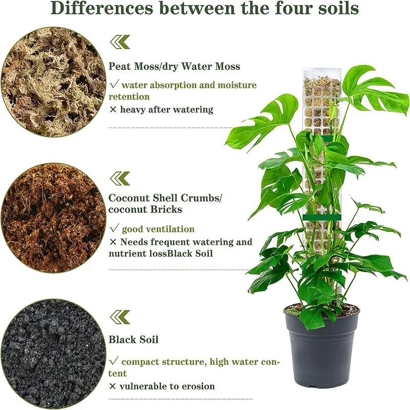 Tuteur Mousse Plante Grimpante Indoor