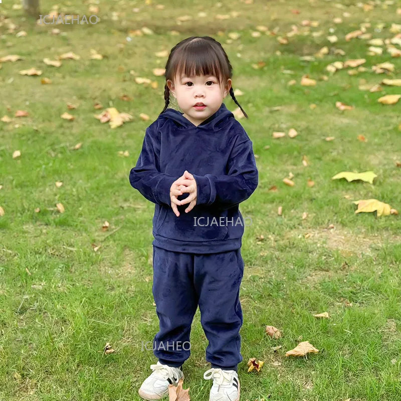 Boys Girls Velvet Warm Long Sleeve Hooded Outfit Set Children Clothing Casual Tracksuit Outdoor Wear Autumn Winter Kids Clothes