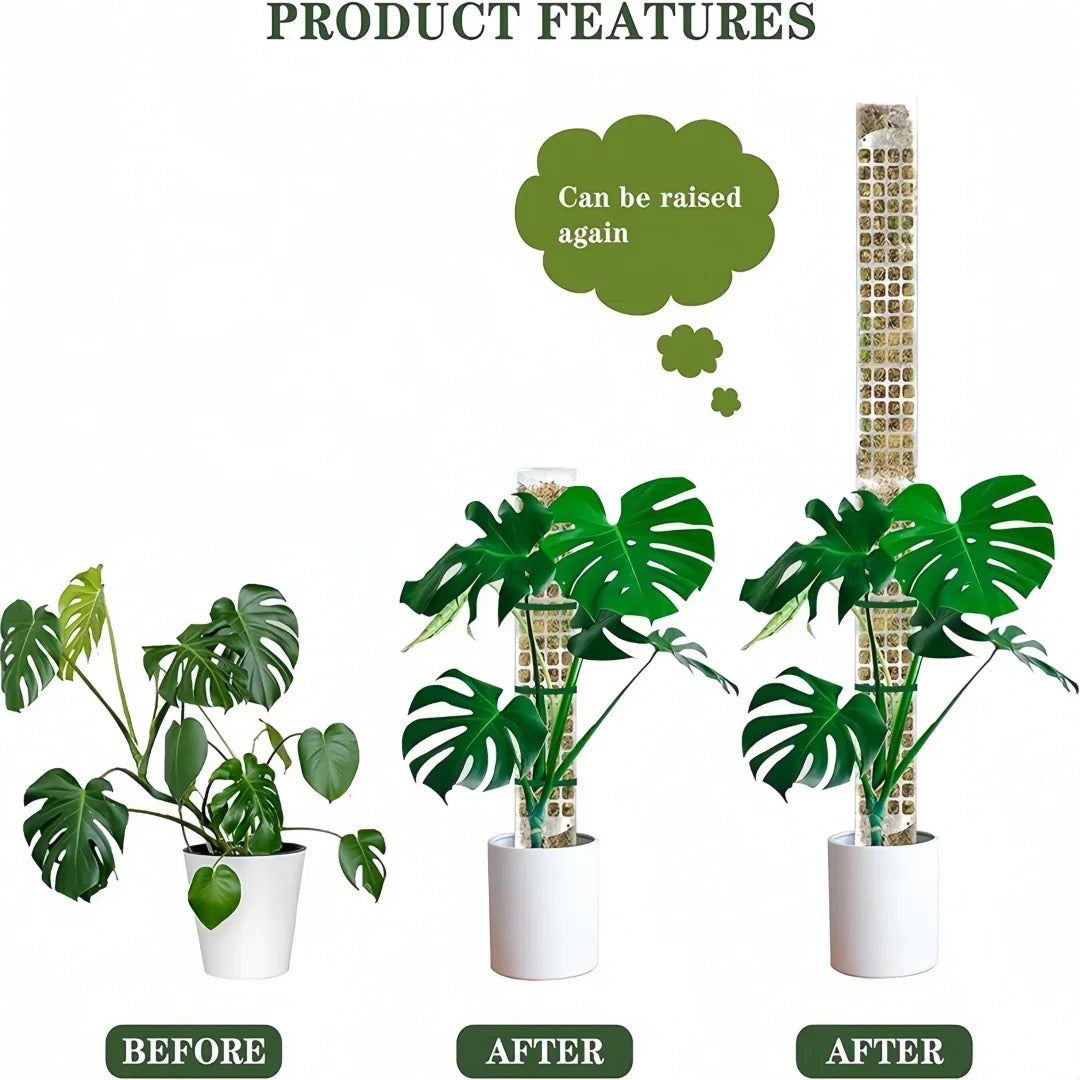 Tuteur Mousse Plante Grimpante Indoor