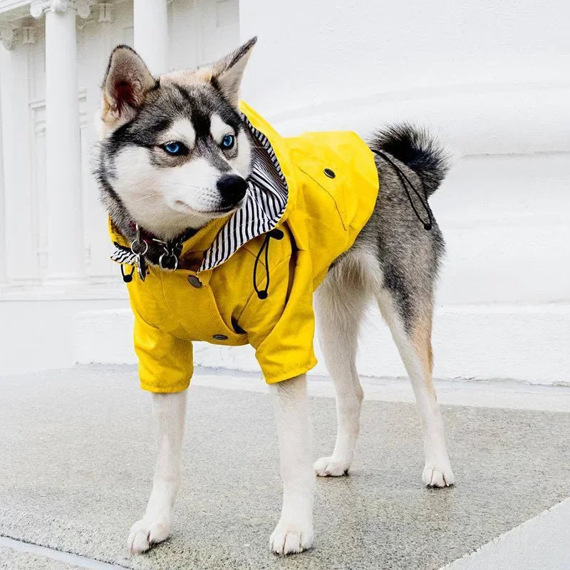 Imperméable pour chien — Bouledogue, Carlin, Corgi, Petite race