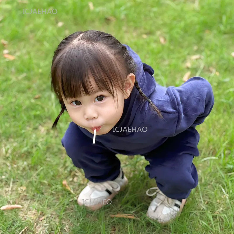 Boys Girls Velvet Warm Long Sleeve Hooded Outfit Set Children Clothing Casual Tracksuit Outdoor Wear Autumn Winter Kids Clothes
