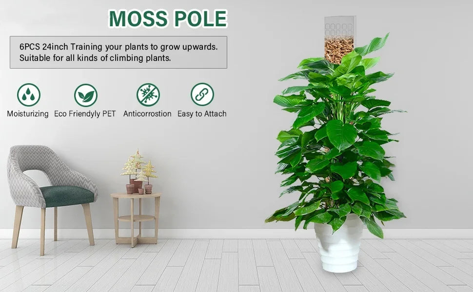 Tuteur Mousse Plante Grimpante Indoor