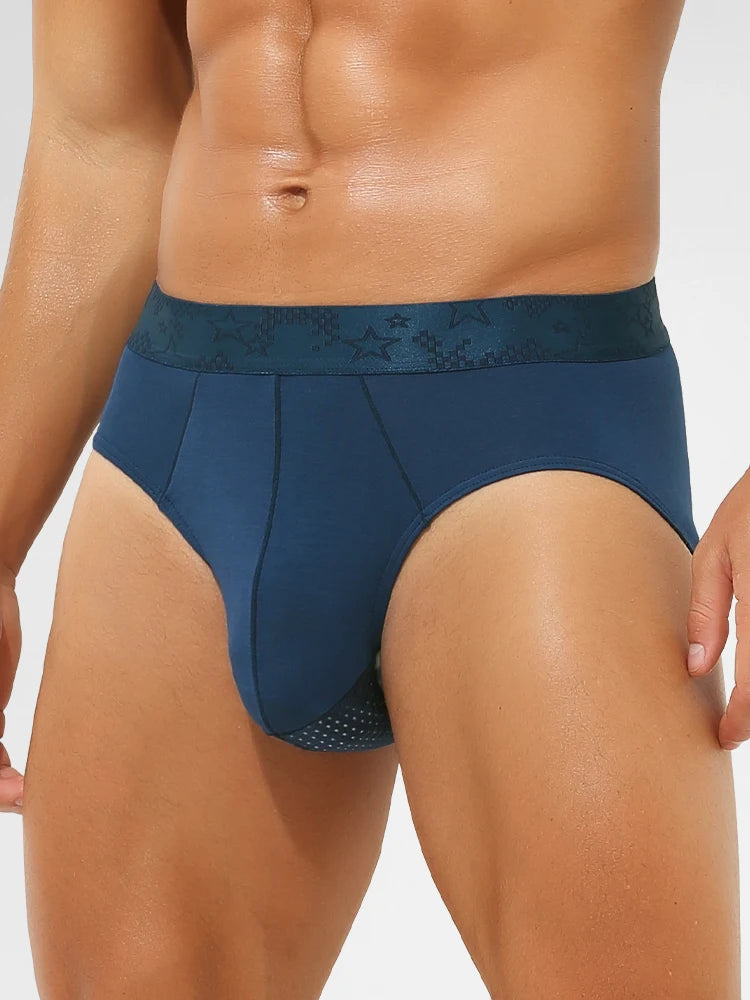 Scrotum Support Underwear Men's Briefs Modal Summer Thin Pants Ice Silk Breathable Mesh Sexy Shorts
