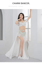 Belly Dance Costume Dance Wear Adult Belly Dance Lesson Wear Dress Suit Practice Clothes Skirt Bellydance Professional Dancing