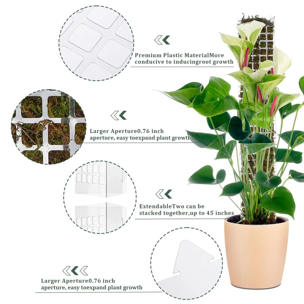 Tuteur Mousse Plante Grimpante Indoor