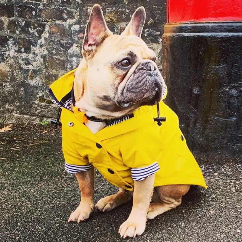 Imperméable pour chien — Bouledogue, Carlin, Corgi, Petite race