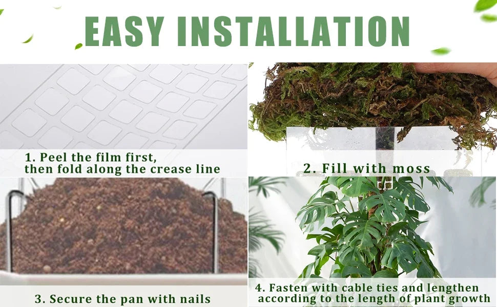 Tuteur Mousse Plante Grimpante Indoor