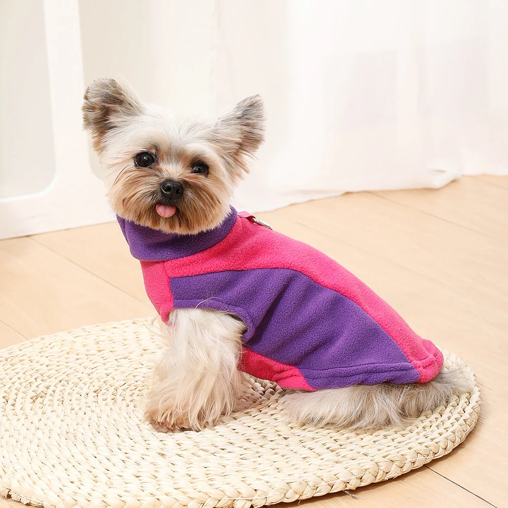 Veste Polaire Chien Chat – Manteau Chaud Chihuahua Bouledogue Carlin XS-XL