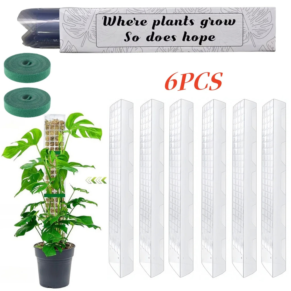 Tuteur Mousse Plante Grimpante Indoor