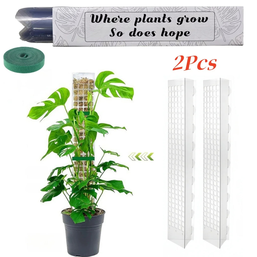 Tuteur Mousse Plante Grimpante Indoor