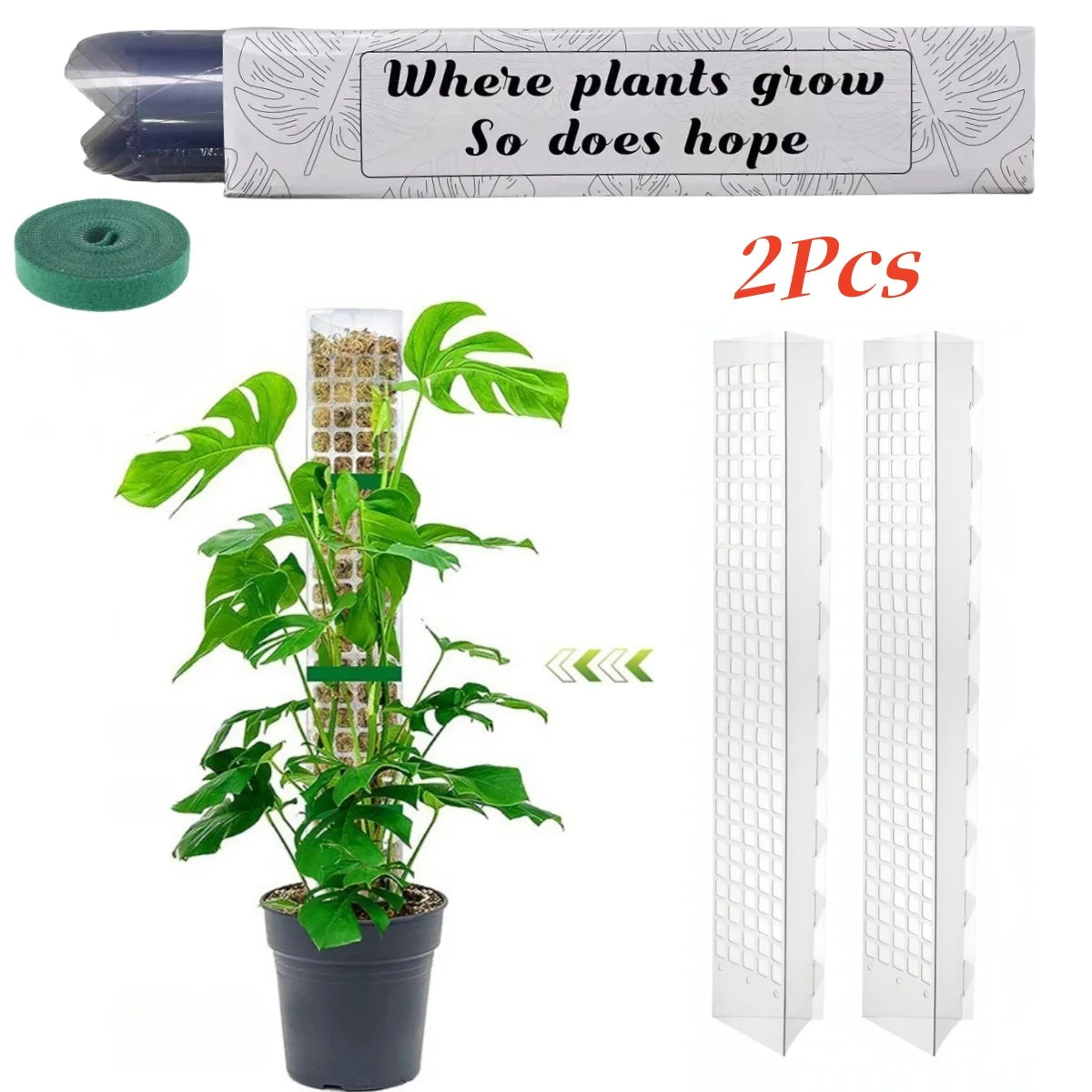 Tuteur Mousse Plante Grimpante Indoor
