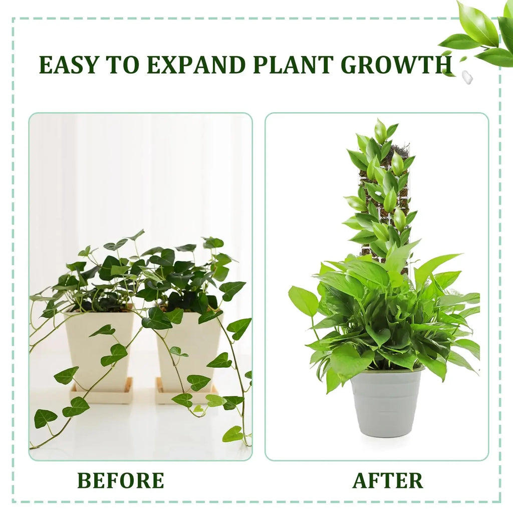 Tuteur Mousse Plante Grimpante Indoor