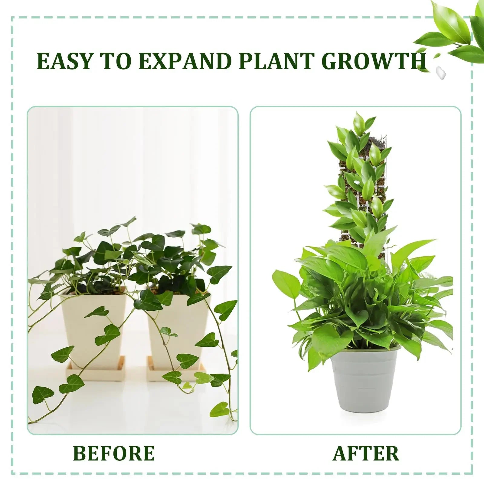 Tuteur Mousse Plante Grimpante Indoor