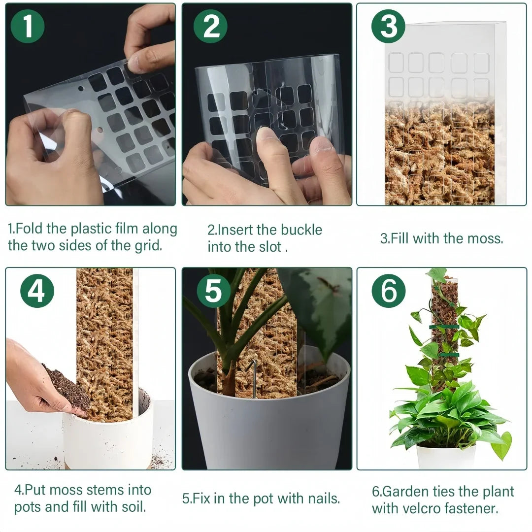 Tuteur Mousse Plante Grimpante Indoor