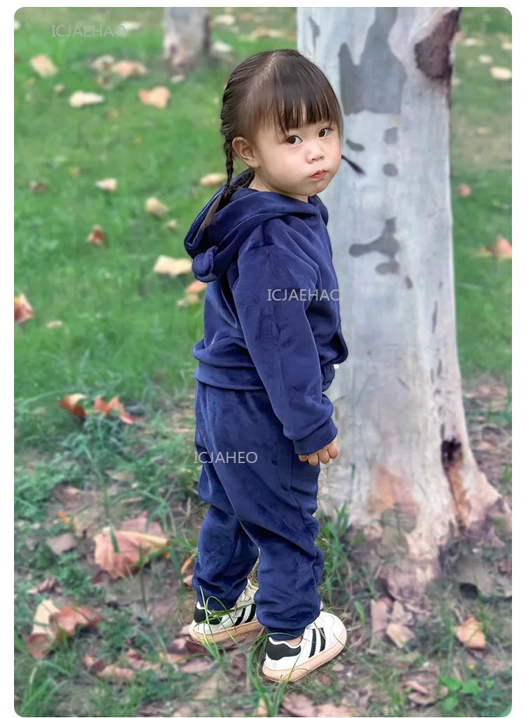 Boys Girls Velvet Warm Long Sleeve Hooded Outfit Set Children Clothing Casual Tracksuit Outdoor Wear Autumn Winter Kids Clothes