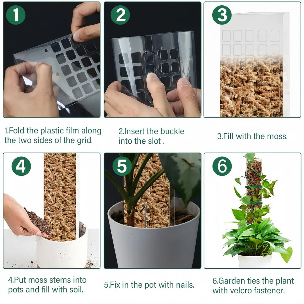 Tuteur Mousse Plante Grimpante Indoor