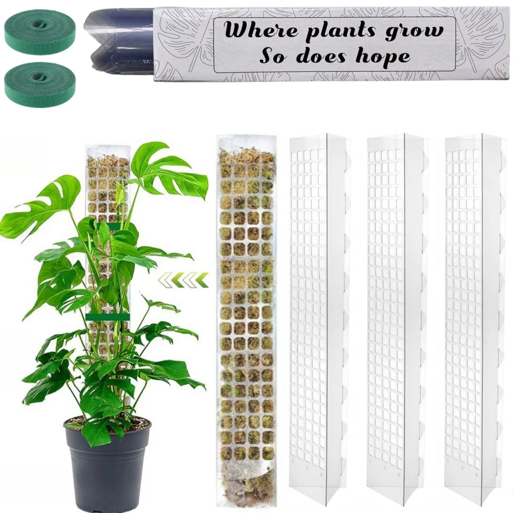 Tuteur Mousse Plante Grimpante Indoor