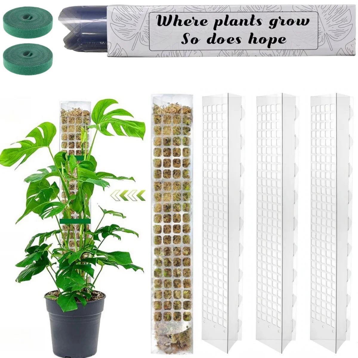 Tuteur Mousse Plante Grimpante Indoor