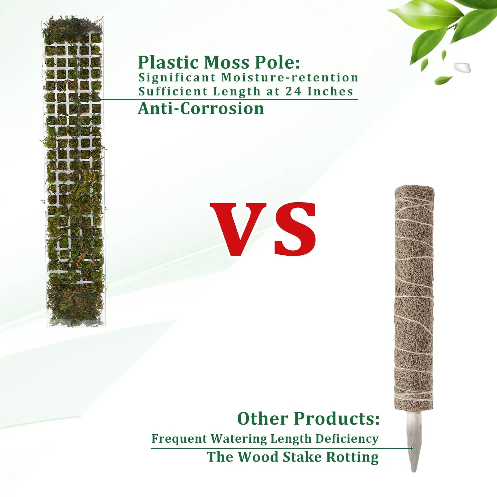 Tuteur Mousse Plante Grimpante Indoor
