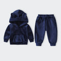 Boys Girls Velvet Warm Long Sleeve Hooded Outfit Set Children Clothing Casual Tracksuit Outdoor Wear Autumn Winter Kids Clothes