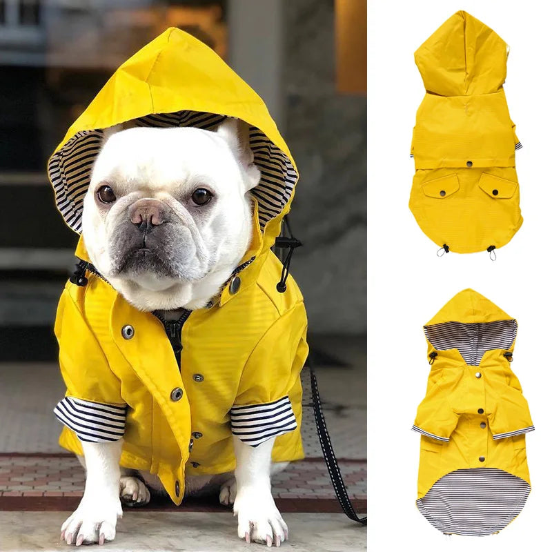 Imperméable pour chien — Bouledogue, Carlin, Corgi, Petite race
