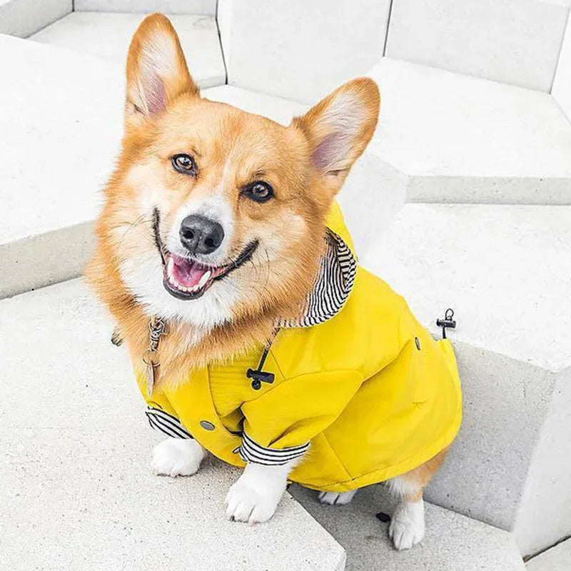 Imperméable pour chien — Bouledogue, Carlin, Corgi, Petite race
