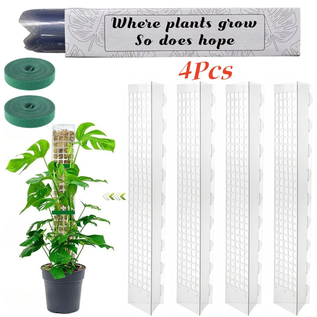 Tuteur Mousse Plante Grimpante Indoor