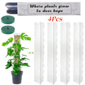 Tuteur Mousse Plante Grimpante Indoor