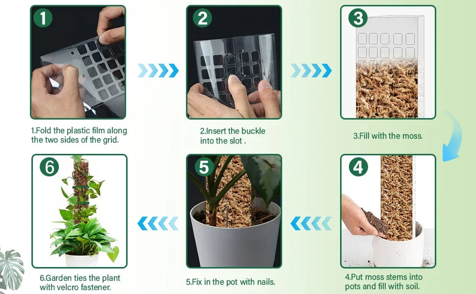 Tuteur Mousse Plante Grimpante Indoor